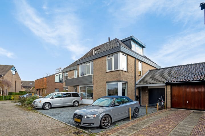 Foto 38 van Meerkoet 24