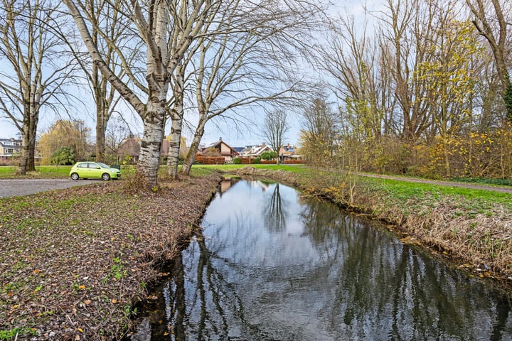 Bekijk foto 39 van Meerkoet 24