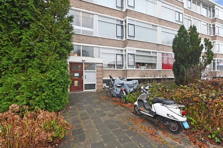 Photo 5 of Nieuwenoord 255