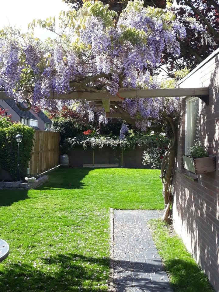 Foto 53 van Pr.Hendrikstraat 5