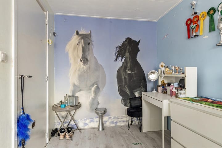 Foto 21 van Alkmaarseweg 228