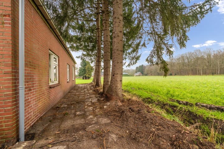 Foto 14 van Noorderstraat 35