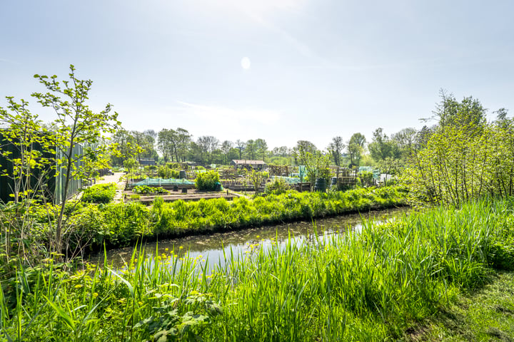 Bekijk foto 25 van Vergierdeweg 17-A