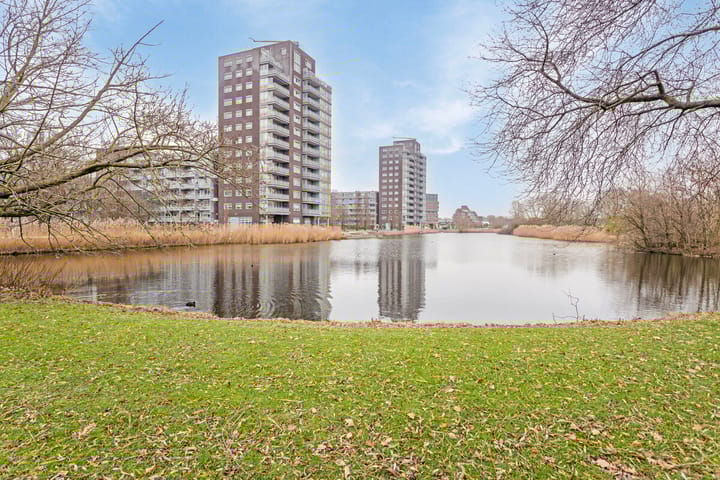 Foto 31 van Kievitstraat 16