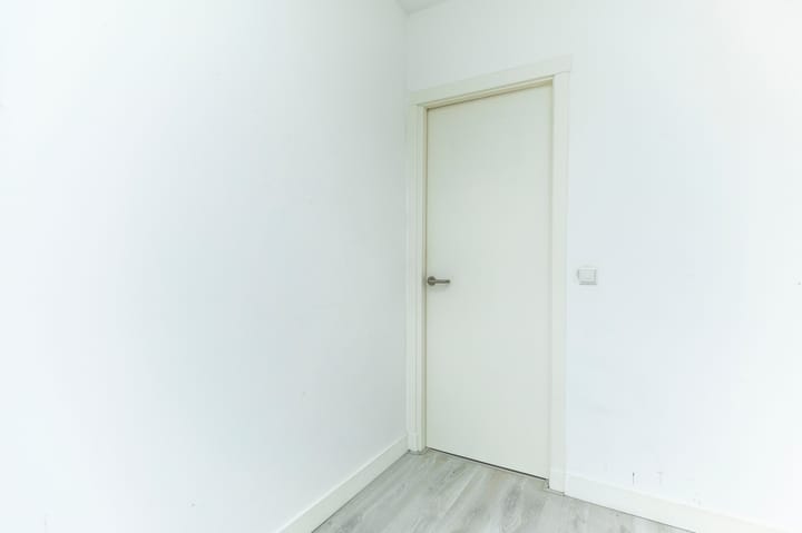 Foto 13 van Bas Jungeriusstraat 222-01