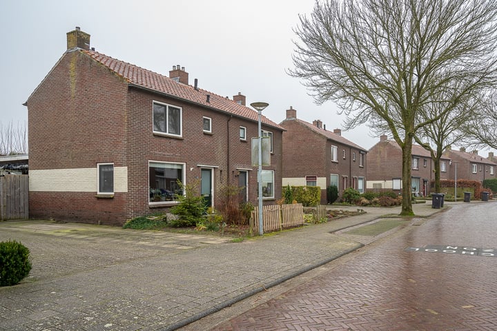 Bekijk foto 4 van Groen van Prinstererstraat 62