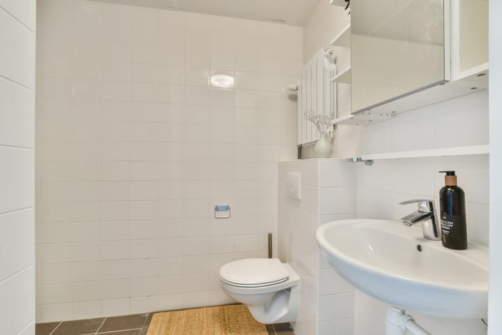 Foto 12 van Bos en Lommerplantsoen 111-M