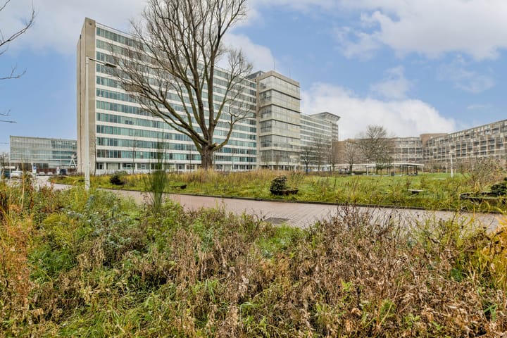 Foto 20 van Bos en Lommerplantsoen 111-M