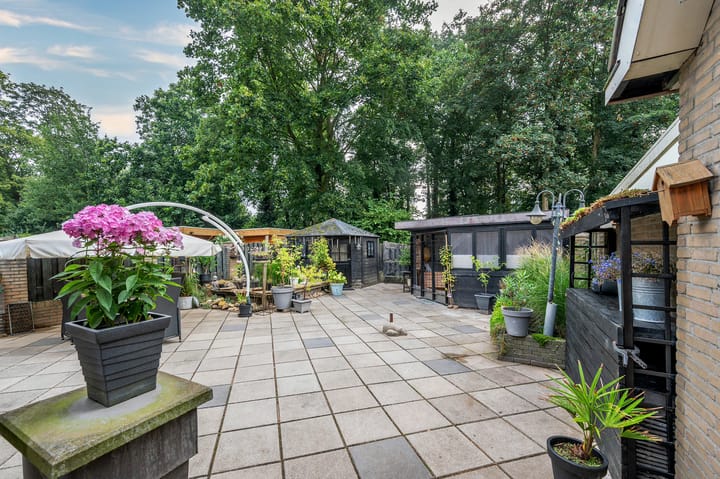 Foto 32 van Pavanestraat 42