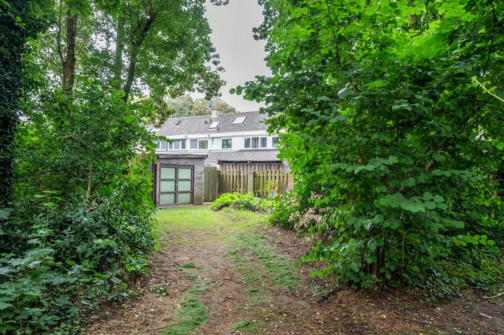 Foto 34 van Pavanestraat 42