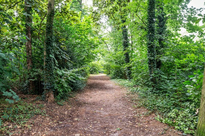 Foto 35 van Pavanestraat 42