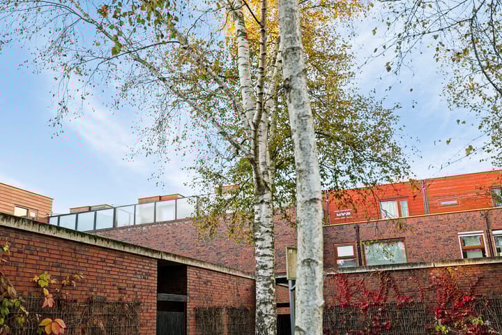 Foto 41 van Grasveld 58