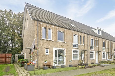 undefined main image