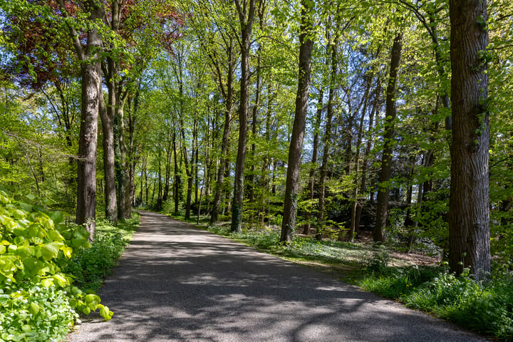 View photo 77 of Rijksstraatweg 307