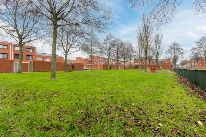 Foto 37 van Pijlstaart 24