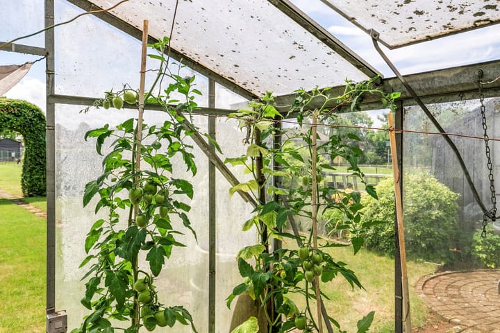 Foto 47 van Hoogstraat 34-A