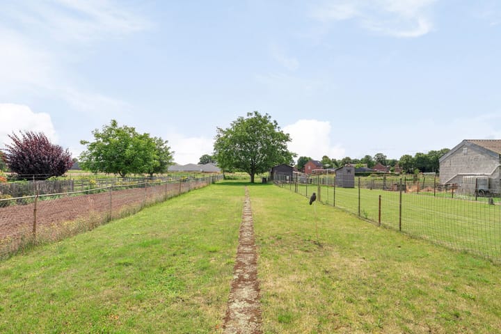 Foto 49 van Hoogstraat 34-A