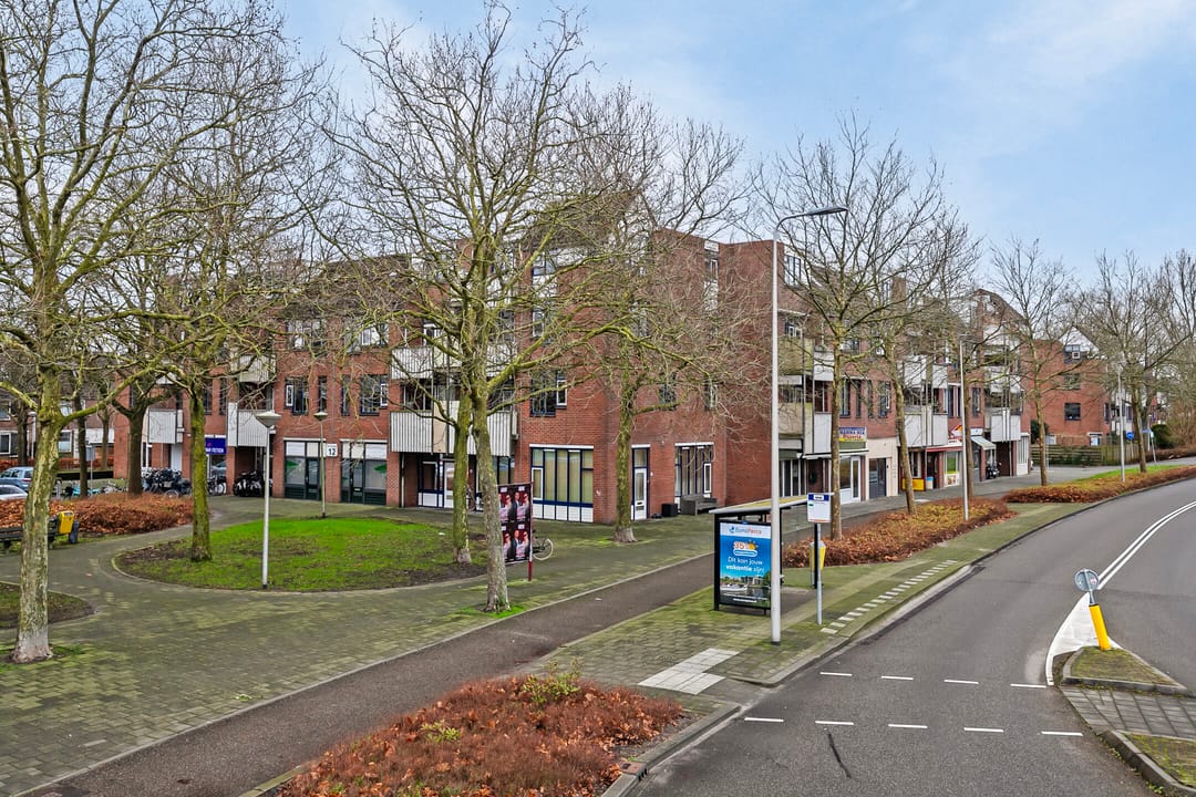 Foto 1 van Stuifzwam 72