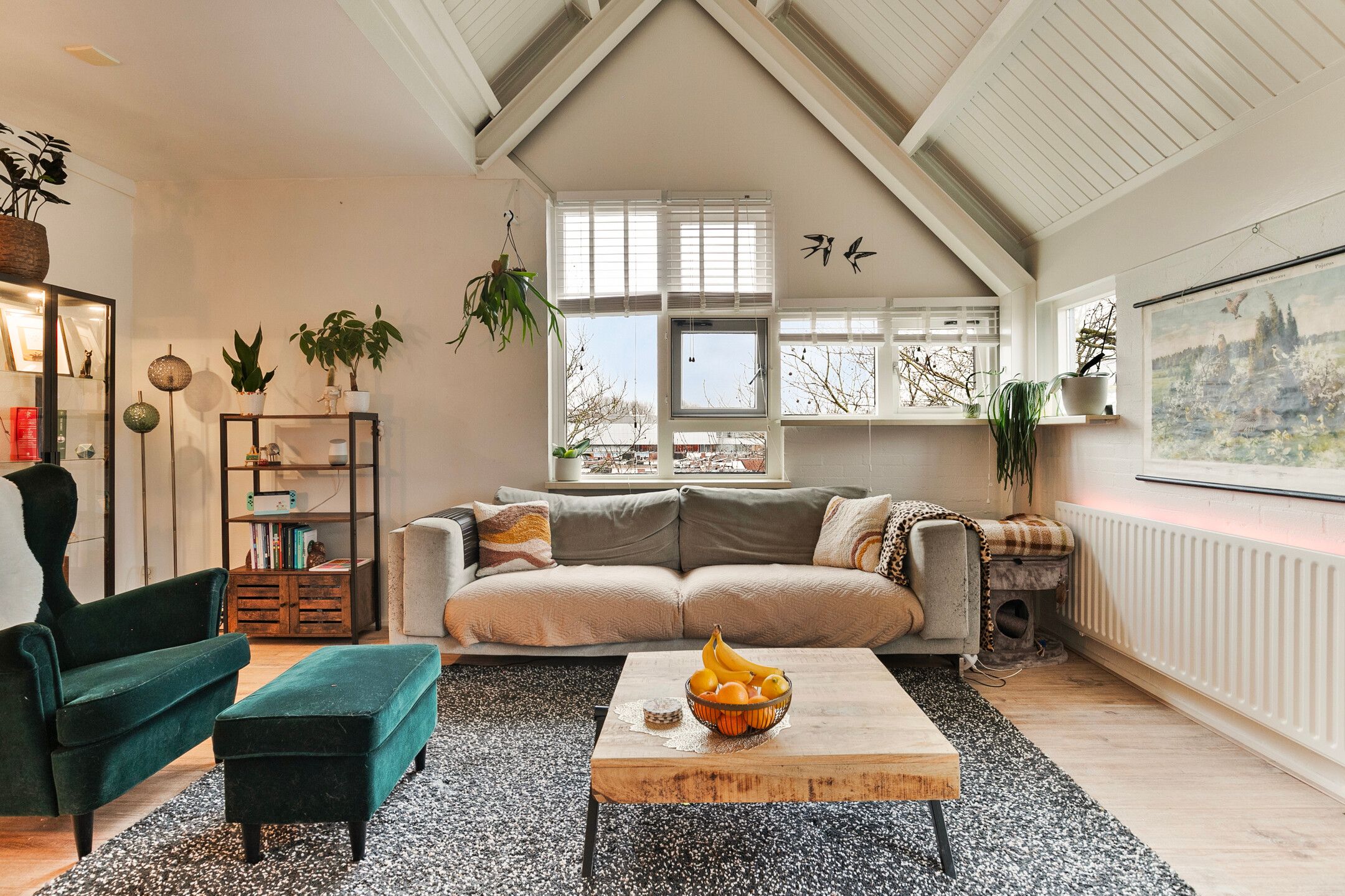 Foto 9 van Stuifzwam 72