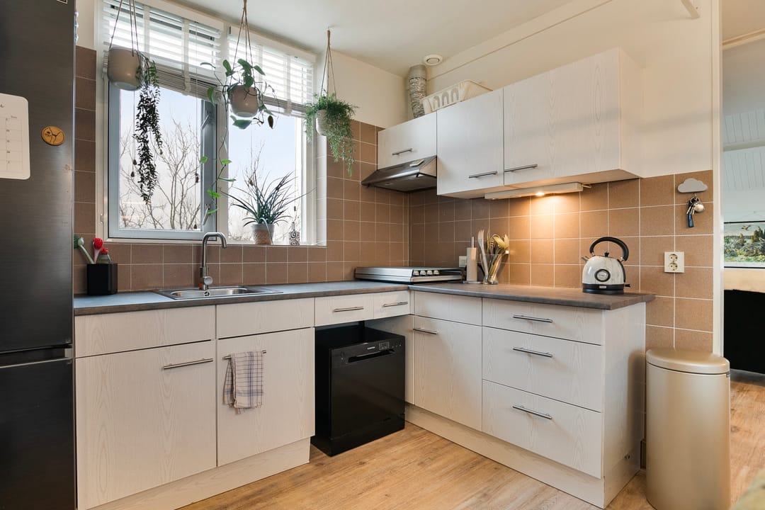 Foto 11 van Stuifzwam 72