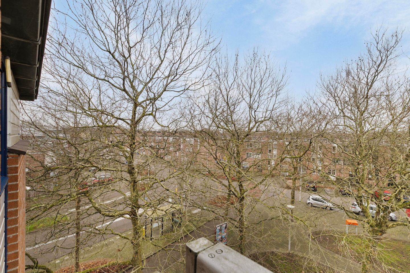 Foto 20 van Stuifzwam 72