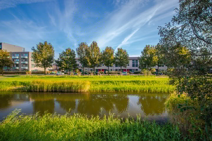 Photo 33 of De Maaidorser 89