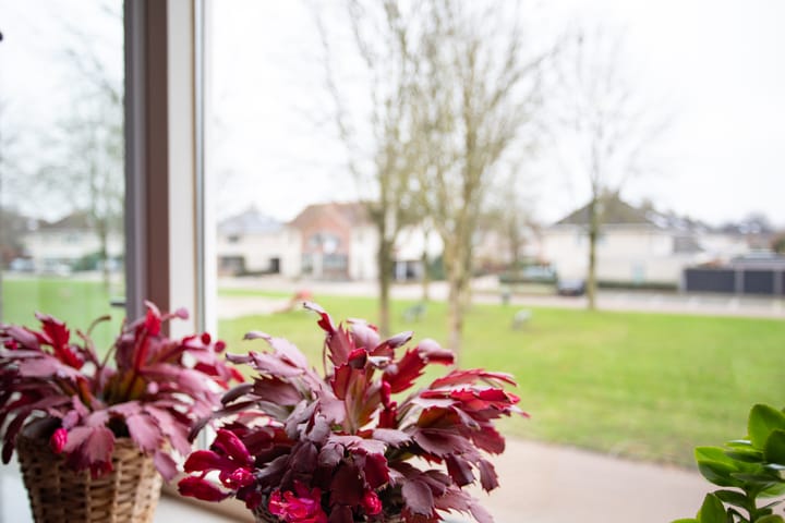 Foto 11 van Dorpsbleek 32