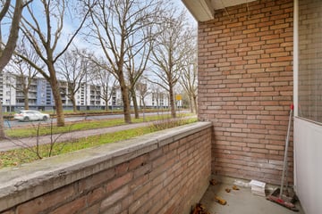 Plotinusstraat thumbnail