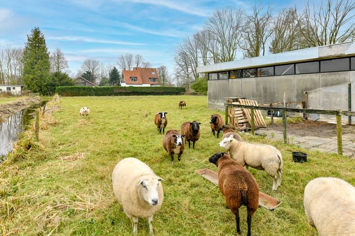 Photo 8 of Kruitmolen 23