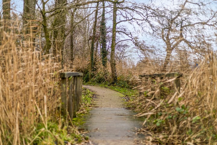 Foto 50 van Ringlaan 8