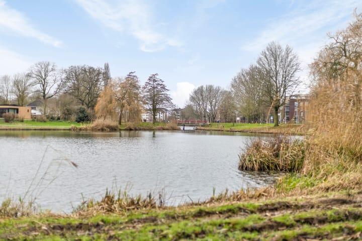 Foto 51 van Ringlaan 8