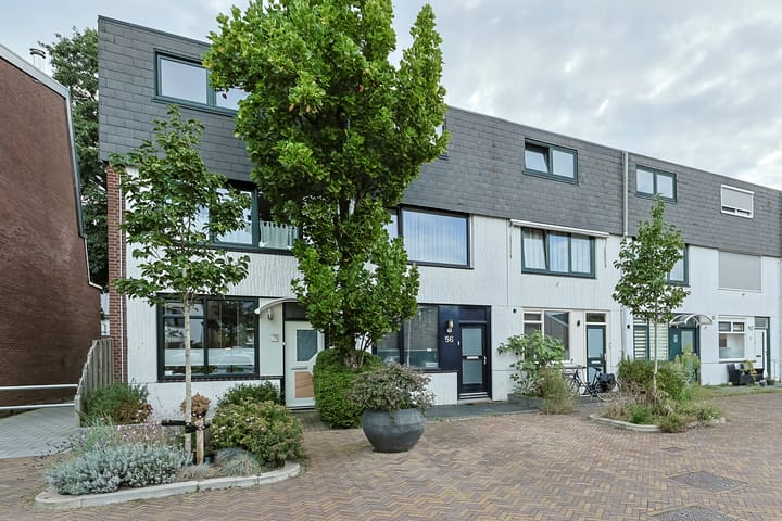 Foto 3 van Zeewinde 56