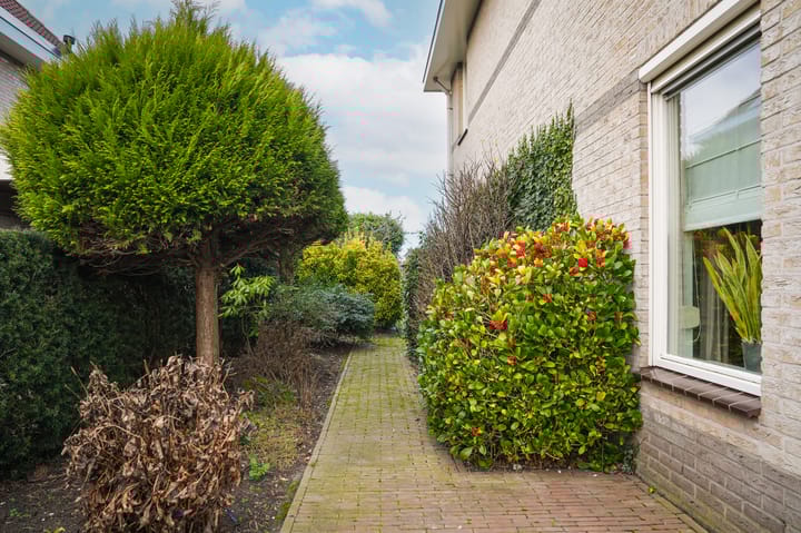 Foto 35 van Burcht 6