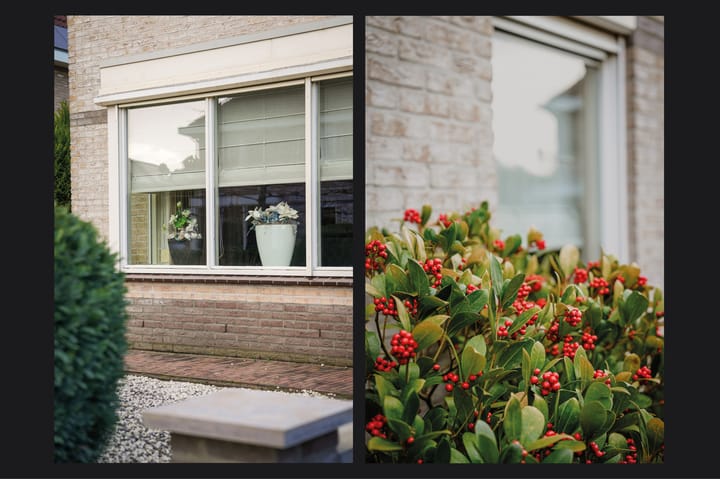 Foto 37 van Burcht 6