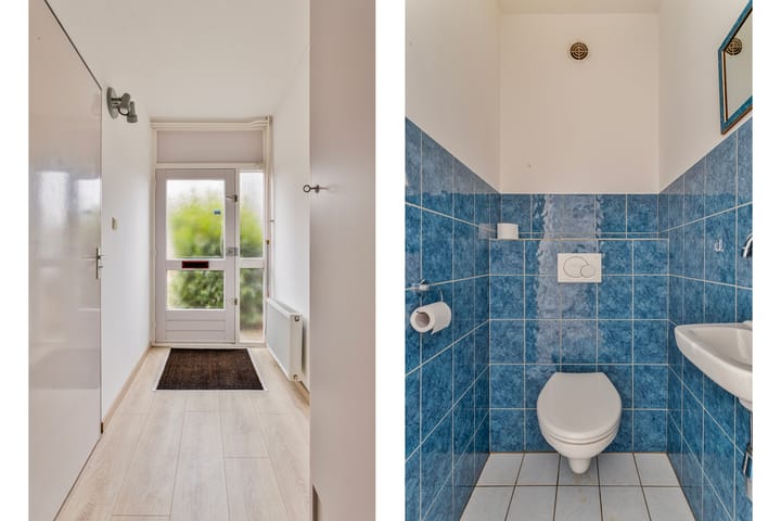 Foto 9 van Haagbeemd 63