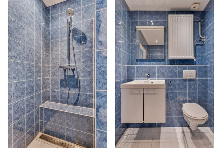 Foto 10 van Haagbeemd 63