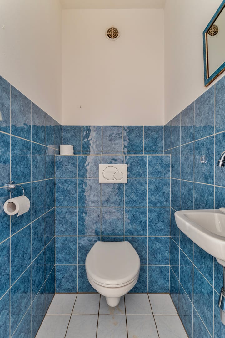 Foto 14 van Haagbeemd 63