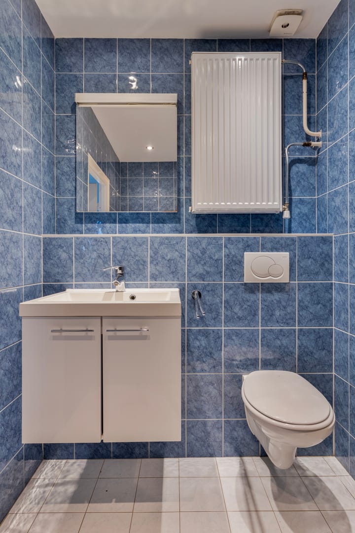 Foto 25 van Haagbeemd 63