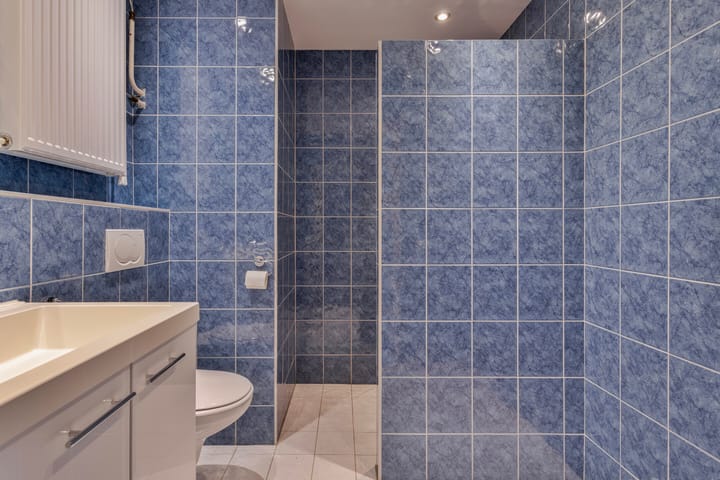 Foto 4 van Haagbeemd 63