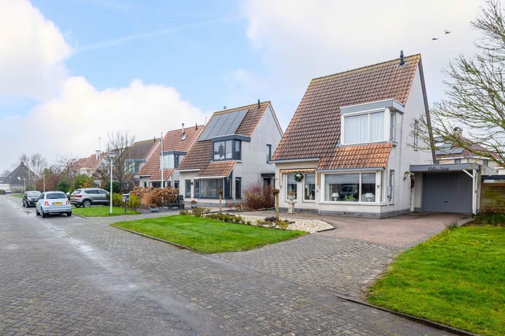 Foto 2 van Meerkoet 15