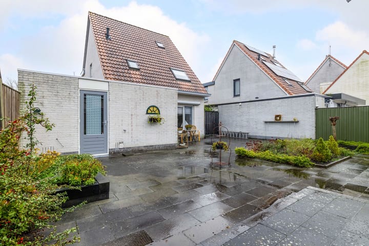 Foto 42 van Meerkoet 15