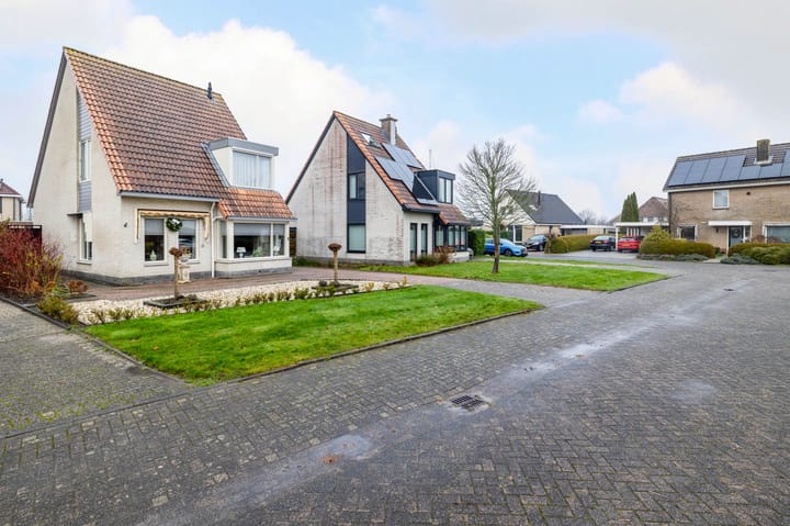 Foto 43 van Meerkoet 15