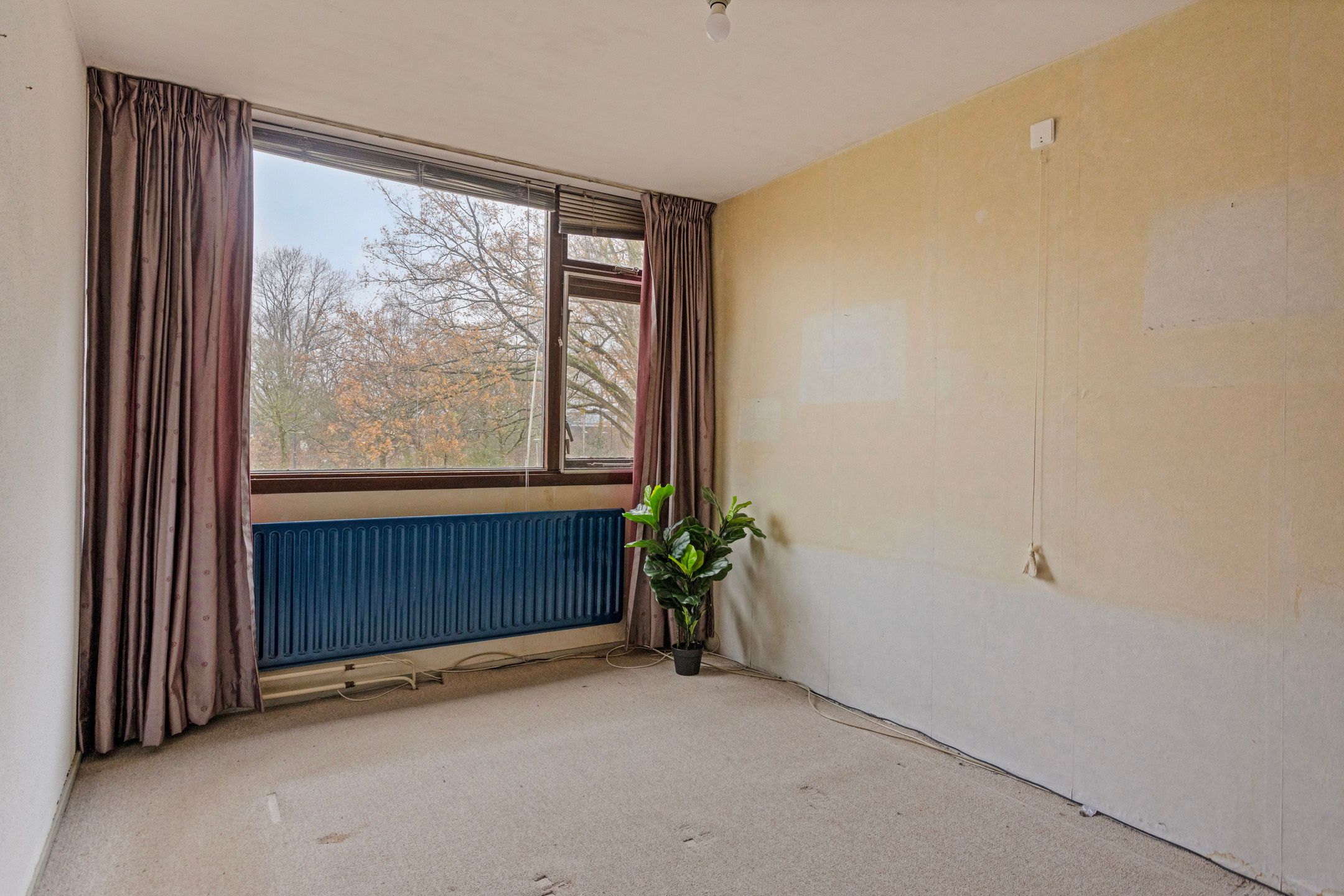 Foto 21 van Meierijlaan 24