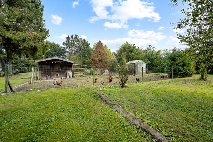 Foto 43 van Bladderswijk OZ 89