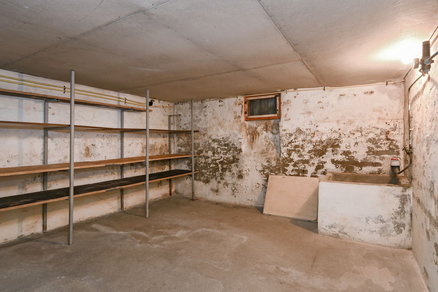 Foto 14 van Wienboomweg 7