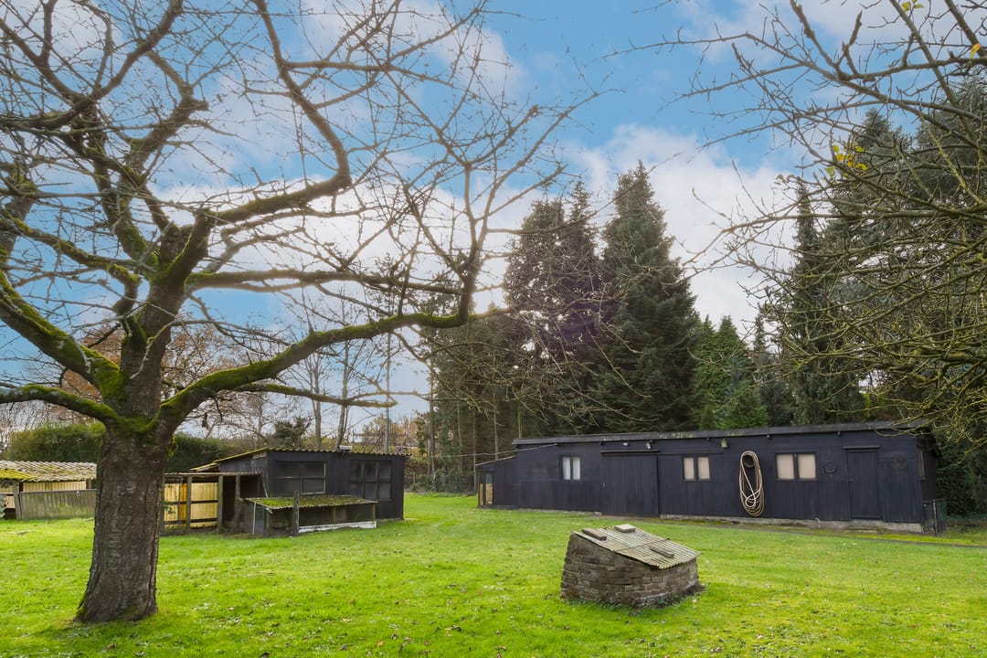 Foto 28 van Wienboomweg 7