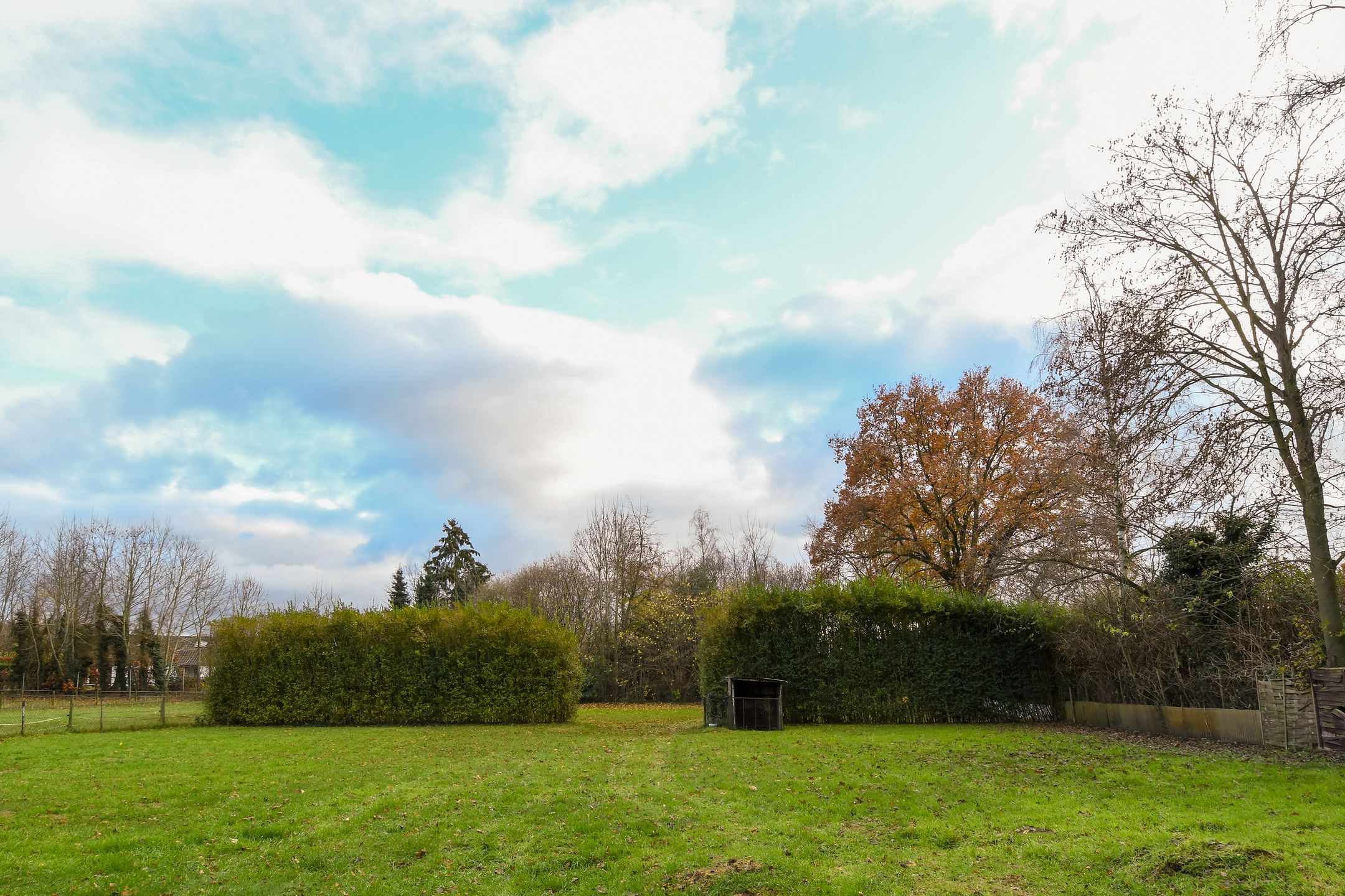 Foto 30 van Wienboomweg 7