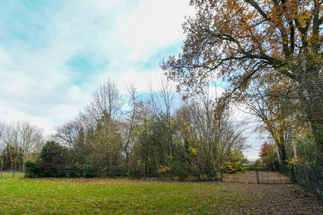 Foto 31 van Wienboomweg 7