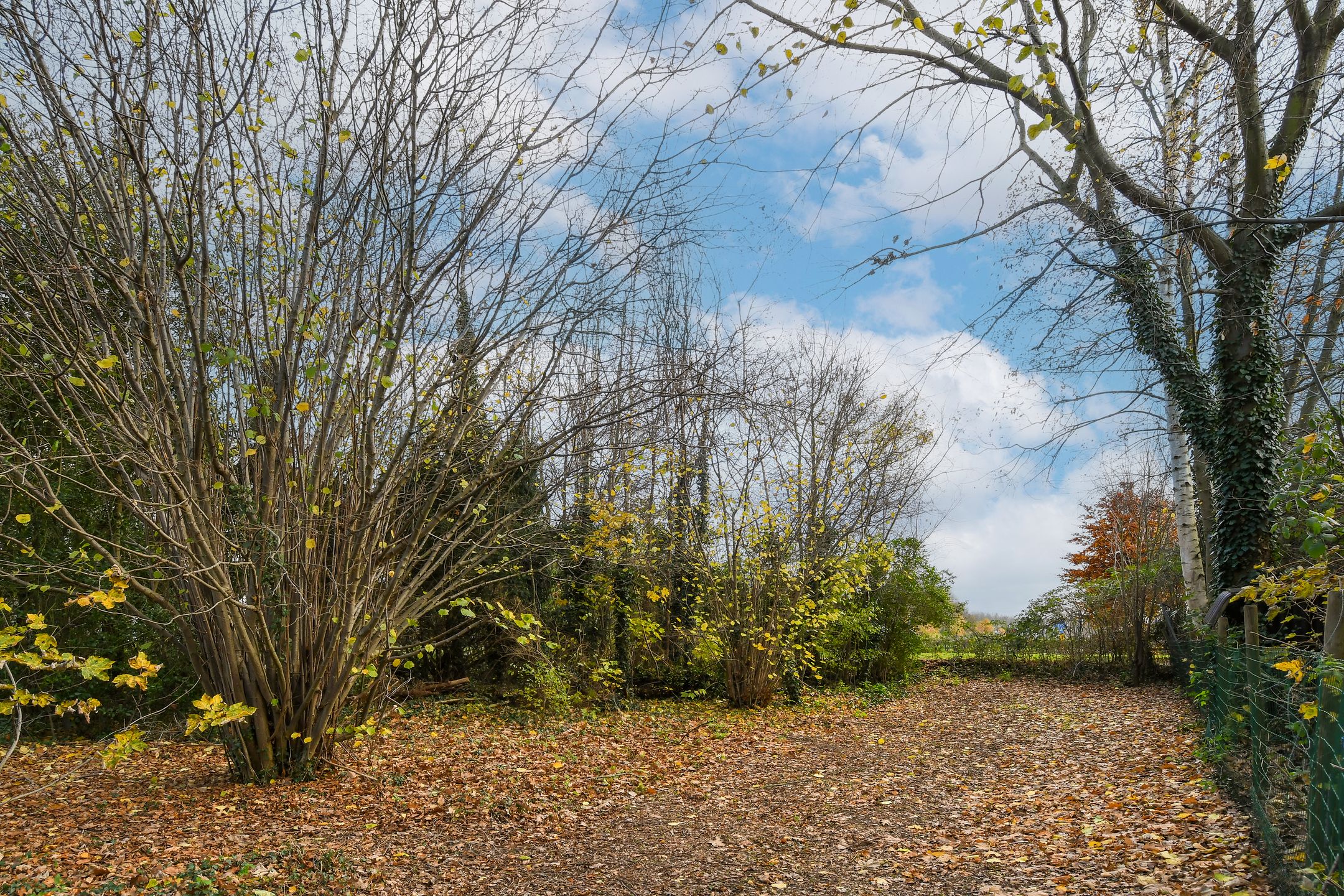 Foto 33 van Wienboomweg 7