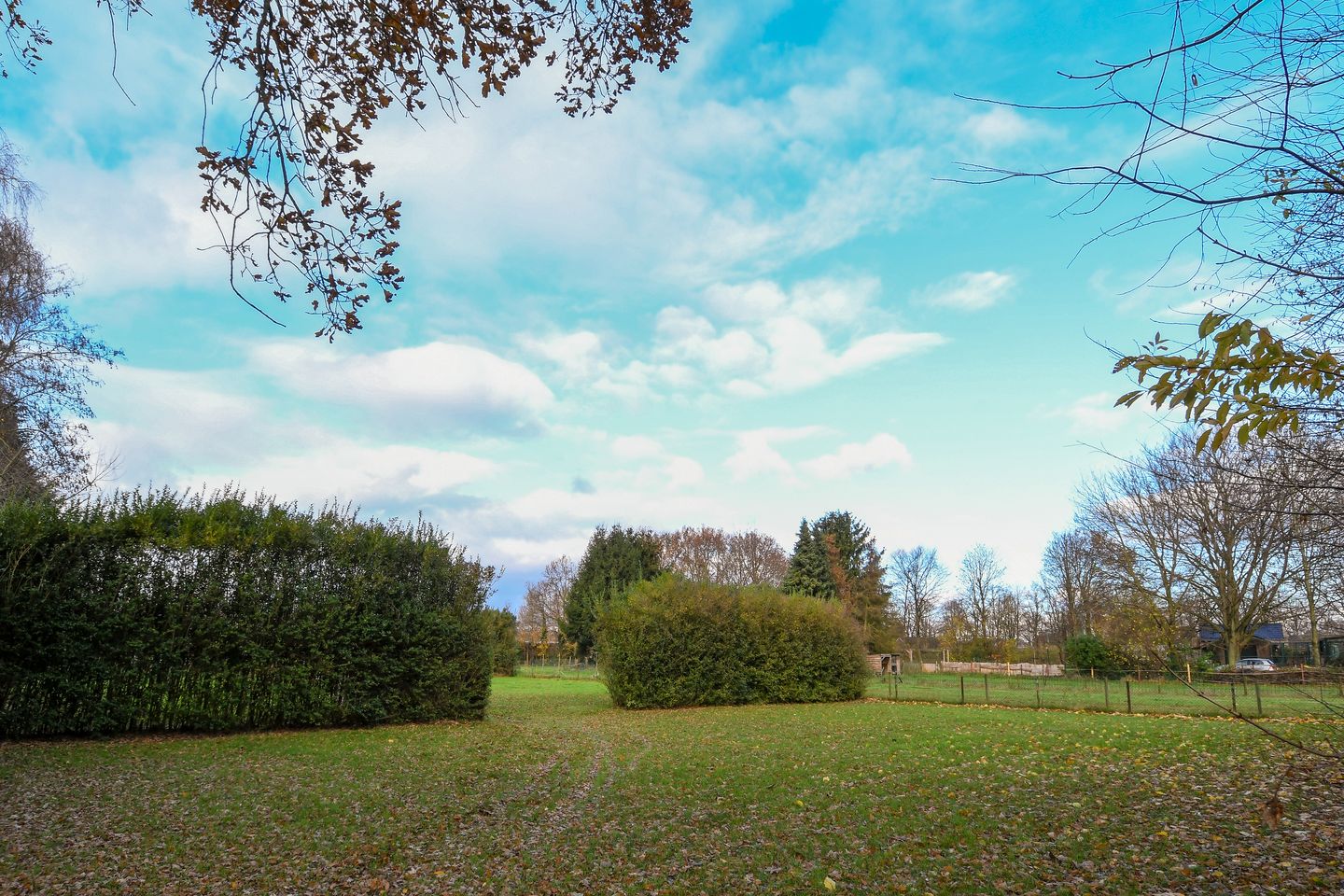 Foto 34 van Wienboomweg 7